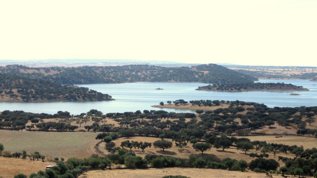São Pedro do Corval Casa Do Lentejo - Casas De Taipa 빌라 외부 사진